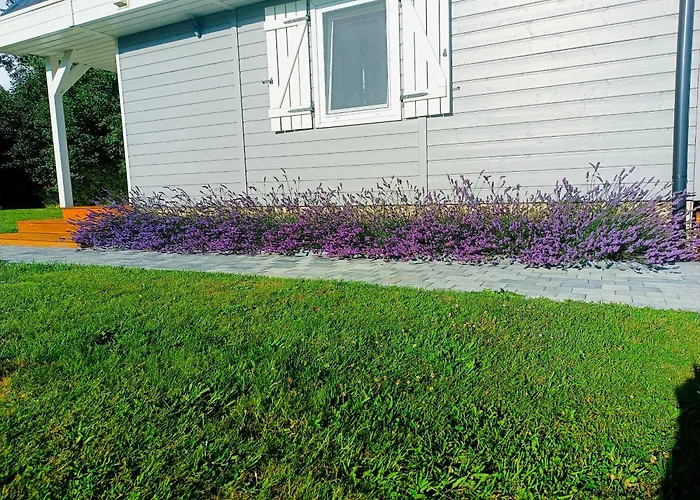 Nowy Na Mazurach - Lowisko Ryb Ferienhaus Szczytno (Warmian-Masurian)